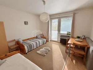 Prodej bytu 1+1, Plzeň - Lobzy, Nad Úslavou, 35 m2