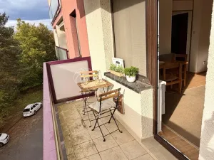 Prodej bytu 1+1, Plzeň - Lobzy, Nad Úslavou, 35 m2