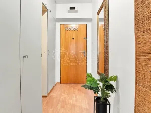 Prodej bytu 1+1, Plzeň - Lobzy, Nad Úslavou, 35 m2