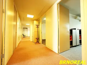 Pronájem kanceláře, Brno, Příkop, 20 m2