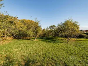 Prodej rodinného domu, Dražíč, 180 m2