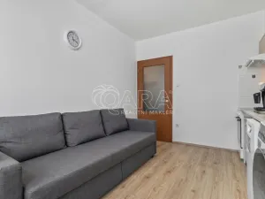Prodej bytu 1+1, Červené Pečky, V Cihelně, 35 m2