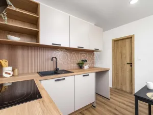 Prodej bytu 2+1, Karviná - Ráj, Kosmonautů, 53 m2