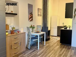 Prodej bytu 1+kk, Králův Dvůr, Plzeňská, 41 m2