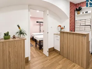 Prodej bytu 1+1, Praha - Vinohrady, Na Kozačce, 48 m2