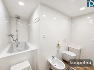 Prodej bytu 1+1, Praha - Vinohrady, Na Kozačce, 48 m2