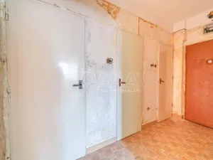 Prodej bytu 3+1, Ostrava - Poruba, Alžírská, 63 m2