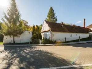 Prodej rodinného domu, Dražíč, 100 m2