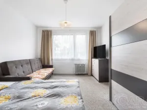 Prodej bytu 1+1, Ústí nad Labem - Severní Terasa, Šípková, 33 m2