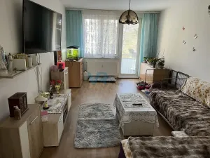 Prodej bytu 2+1, Kaplice, Na Vyhlídce, 63 m2