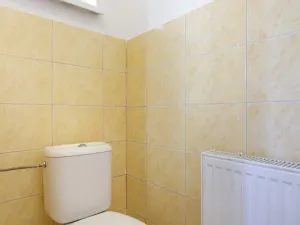 Prodej rodinného domu, Brumovice, Hlavní, 320 m2