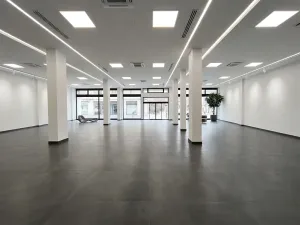Pronájem obchodního prostoru, Ústí nad Labem, Masarykova, 141 m2