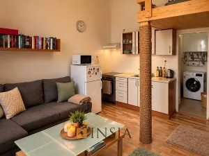 Prodej bytu 1+kk, Plzeň - Východní Předměstí, Koterovská, 25 m2