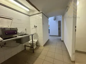 Pronájem restaurace, Žižice - Luníkov, 250 m2