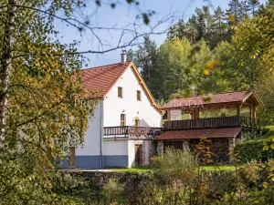 Prodej rodinného domu, Benešov nad Černou, 217 m2