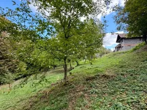 Prodej pozemku pro bydlení, Pržno, 6194 m2
