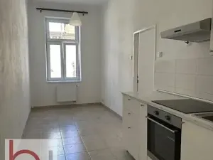Pronájem bytu 1+1, České Budějovice, Matice školské, 37 m2