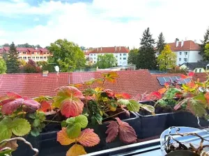 Prodej bytu 2+1, Rokycany, Soukenická, 67 m2