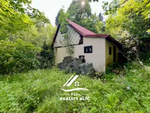 Pronájem rodinného domu, Staré Hamry, 100 m2