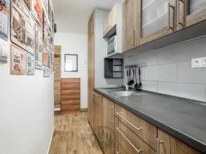 Prodej bytu 3+kk, Březová, Okružní, 56 m2