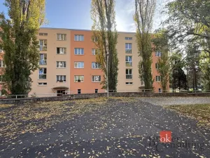 Pronájem bytu 2+1, Chomutov, Blatenská, 56 m2