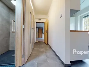 Pronájem bytu 1+1, Ústí nad Labem - Ústí nad Labem-centrum, SNP, 30 m2
