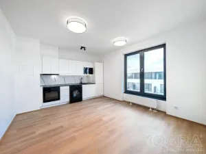 Pronájem bytu 1+kk, Plzeň - Jižní Předměstí, Železná, 27 m2