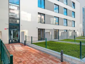 Pronájem bytu 1+kk, Plzeň - Jižní Předměstí, Železná, 27 m2