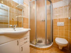 Pronájem bytu 2+1, Olomouc, Blažejské náměstí, 59 m2