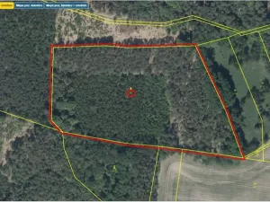 Prodej lesa, Bačalky - Lično, 26180 m2