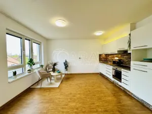 Prodej bytu 2+kk, České Budějovice - České Budějovice 2, Lipová, 53 m2