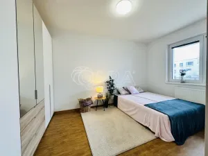 Prodej bytu 2+kk, České Budějovice - České Budějovice 2, Lipová, 53 m2