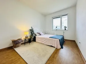 Prodej bytu 2+kk, České Budějovice - České Budějovice 2, Lipová, 53 m2