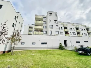 Prodej bytu 2+kk, České Budějovice - České Budějovice 2, Lipová, 53 m2