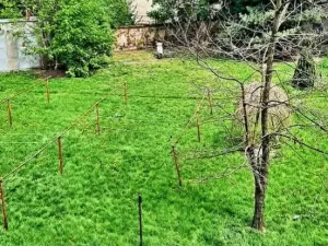 Pronájem bytu 2+kk, Olomouc, Šmeralova, 49 m2
