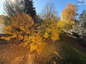 Prodej bytu 2+1, Podbořany, Velká osada, 53 m2