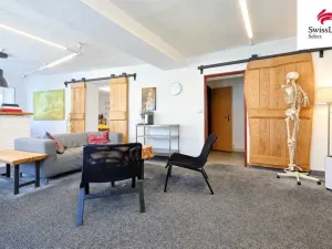 Prodej rodinného domu, Plzeň - Severní Předměstí, Luční, 307 m2