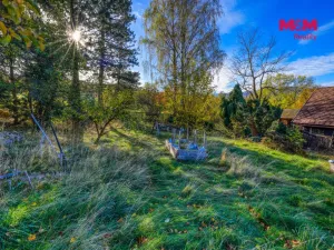 Prodej chalupy, Strašín - Věštín, 158 m2