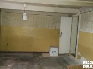 Prodej rodinného domu, Sebnitz, Německo, 100 m2