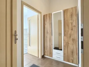 Pronájem bytu 1+kk, Plzeň - Severní Předměstí, Luční, 27 m2