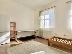 Pronájem bytu 1+kk, Plzeň - Severní Předměstí, Luční, 27 m2