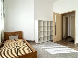 Pronájem bytu 1+kk, Plzeň - Severní Předměstí, Luční, 27 m2