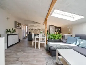 Prodej vícegeneračního domu, Ostrava - Třebovice, Krameriova, 298 m2