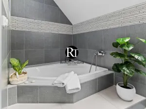 Prodej rodinného domu, Olešná, 224 m2