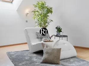 Prodej rodinného domu, Olešná, 224 m2