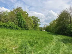 Prodej pozemku pro bydlení, Vysoký Chlumec, 5367 m2
