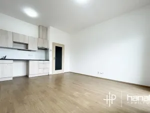Pronájem bytu 1+kk, Olomouc, Čajkovského, 34 m2