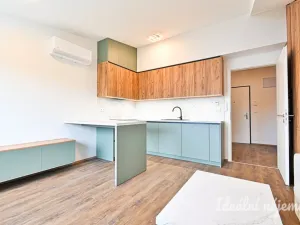 Pronájem bytu 1+kk, Brno - Židenice, Škrochova, 33 m2