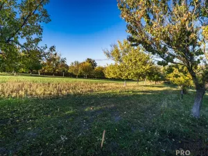 Prodej pozemku pro bydlení, Šardice, 940 m2