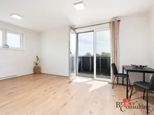 Pronájem bytu 1+kk, Heřmanova Huť - Vlkýš, U Pondu, 35 m2